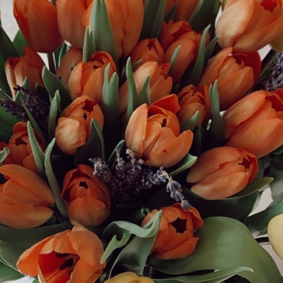 Meet your Posher, Olga - Picture 1 of 1